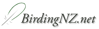 BirdingNZ.net
